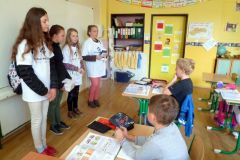 BIELA_PASTELKA_2014-03