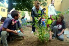 BRIGADA_2013-a1