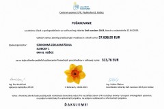 DEN_NARCISOV_2013-111