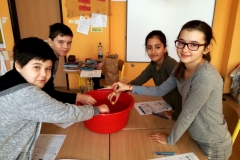 Experimentieren_auf_Deutsch_2017_001