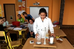 Experimentieren_auf_Deutsch_2017_010