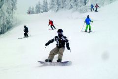LYZOVACKA_2014-012