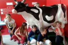 MESTECKO_POVOLANI_2014-04