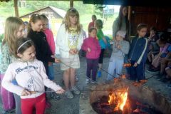 SVP_PLEJSY_2013-050